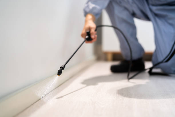 Licensed Fumigation Services service in Taylor County County, KY - Nex Pest Control